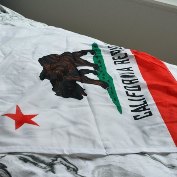 Large California Flag Wall Hanging - Picture 2 of 5